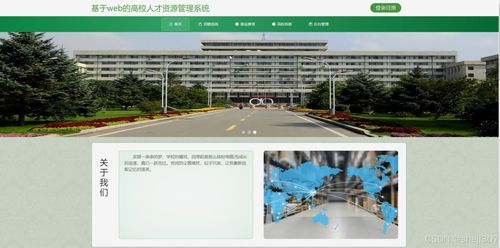 java vue计算机毕设基于web的高校人才资源管理系统