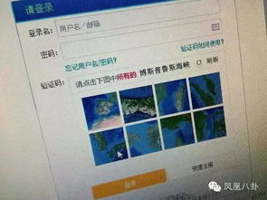 12306验证码被玩坏 不看娱乐八卦都抢不到火车票