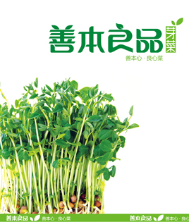知行天下品牌策划,青岛品牌策划,青岛品牌设计,青岛包装设计,青岛食品包装设计,青岛食品策划,青岛VI设计,青岛标志设计,青岛画册设计,青岛网站设计,青岛网页设计,青岛宣传片,青岛广告片