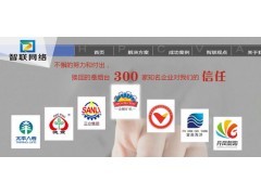 青岛网站设计,烟台智联网络平台搭建,青岛网站建设,智联做