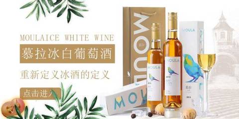青岛路易圣堡葡萄酒业海洋网络签订网站设计合作协定