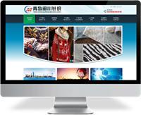 青岛易腾网络科技 专业的网站开发服务